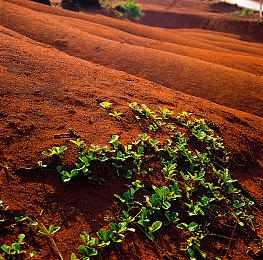 研究者尝试用谷歌AI玩《宝可梦》 结果很有趣